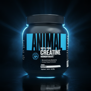 Creatina pura Animal da Universal em pote de 500g, suplemento de alta qualidade para musculação e treino intenso.