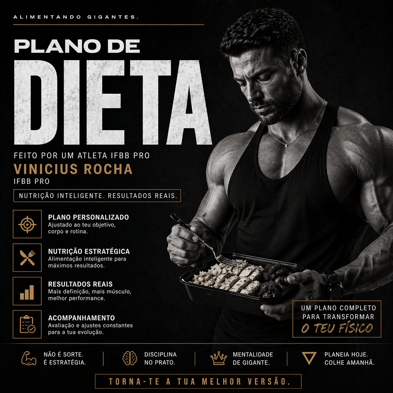 Plano de Dieta - VinnyPowerNutrition