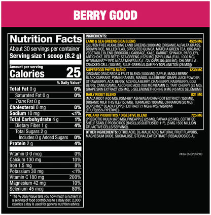 Mutant Big Greens - 30 servings - VinnyPowerNutrition