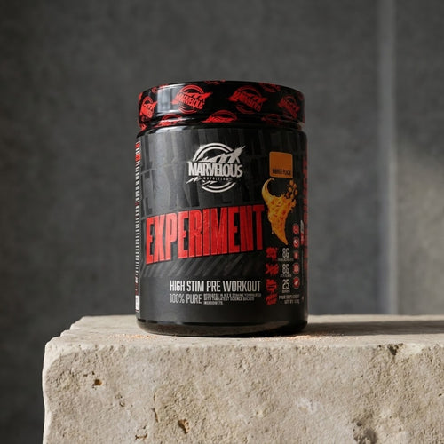 Experiment Pre-Treino  500Grms